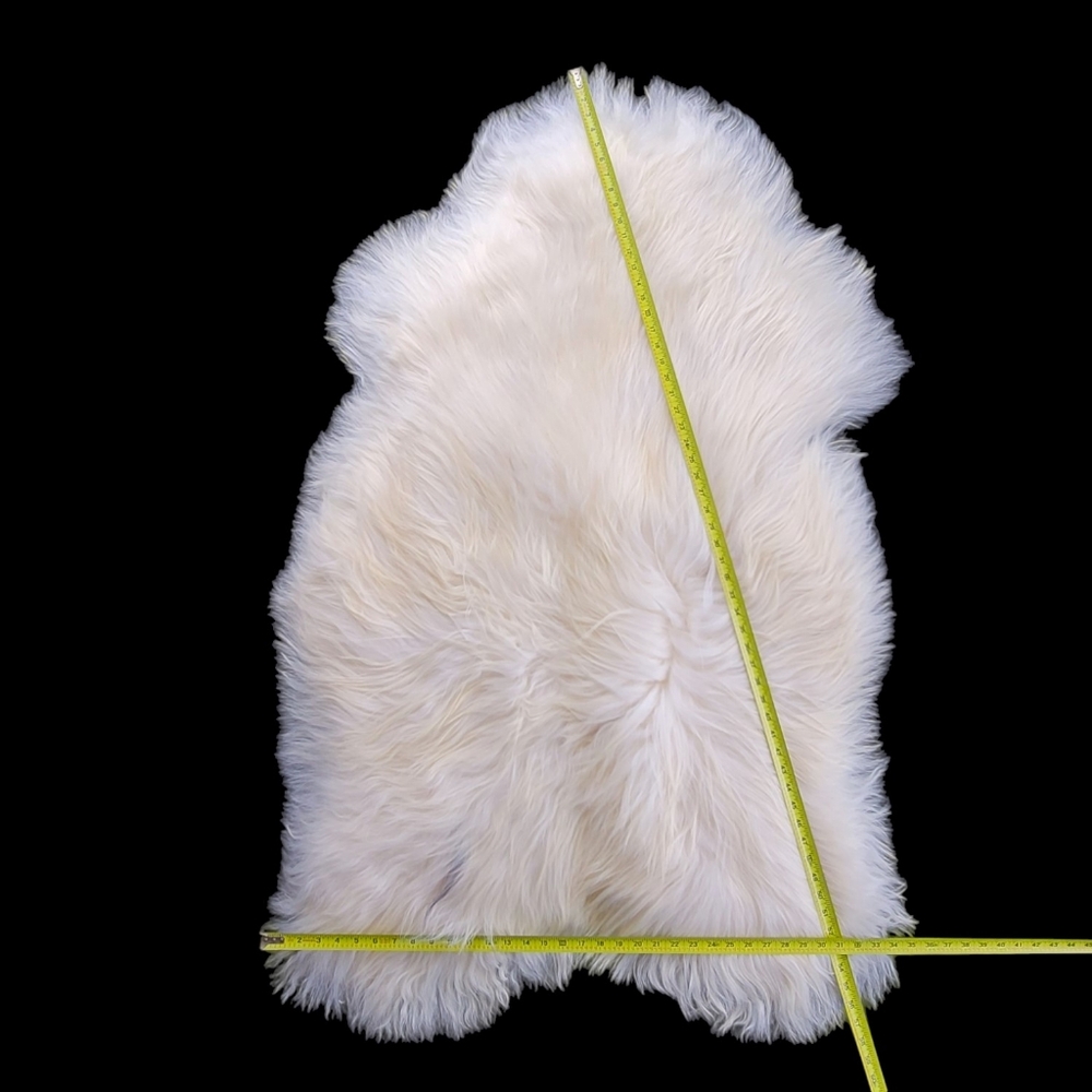 Enormous Icelandic Sheepskin Hides – Limited Availability - Picture 9 of 13